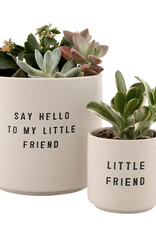 509 Broadway Ceramic Planting Pots