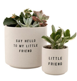 509 Broadway Ceramic Planting Pots