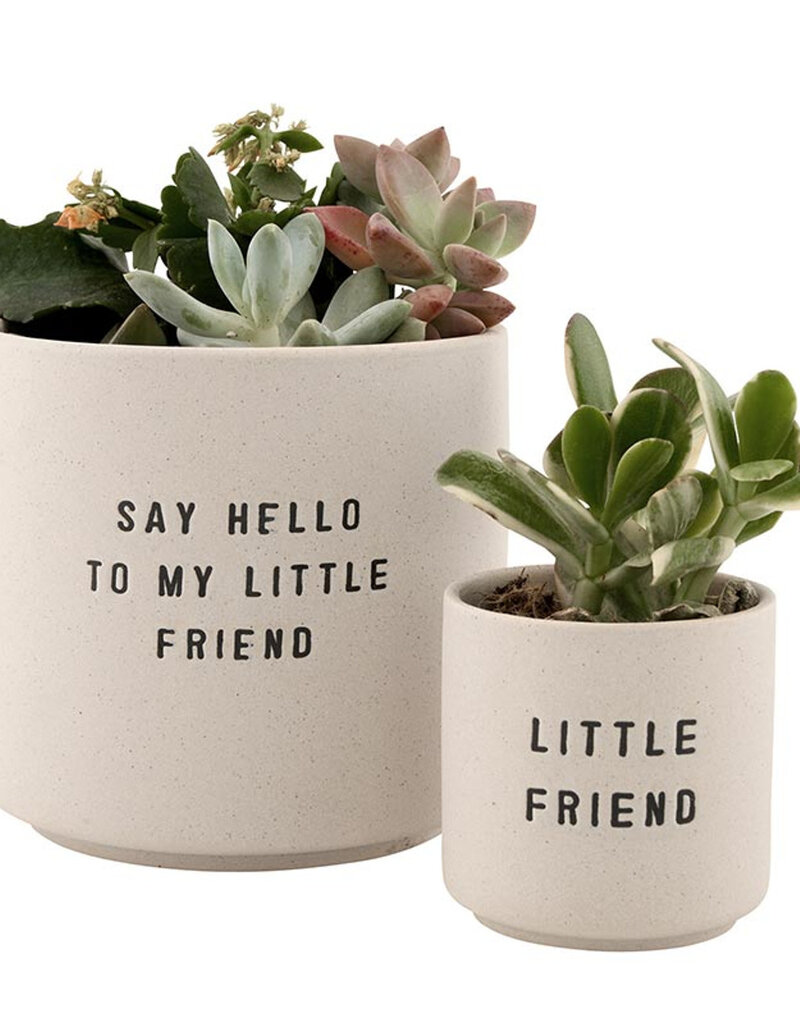 509 Broadway Ceramic Planting Pots