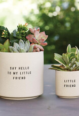 509 Broadway Ceramic Planting Pots