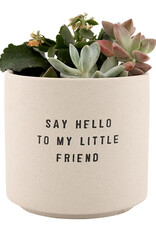 509 Broadway Ceramic Planting Pots