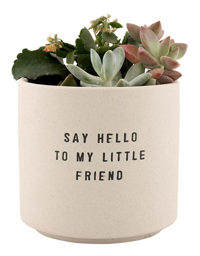 509 Broadway Ceramic Planting Pots