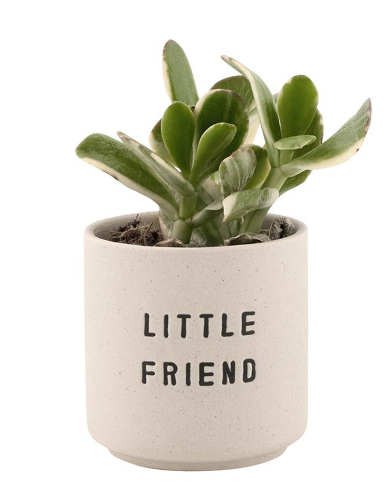 509 Broadway Ceramic Planting Pots