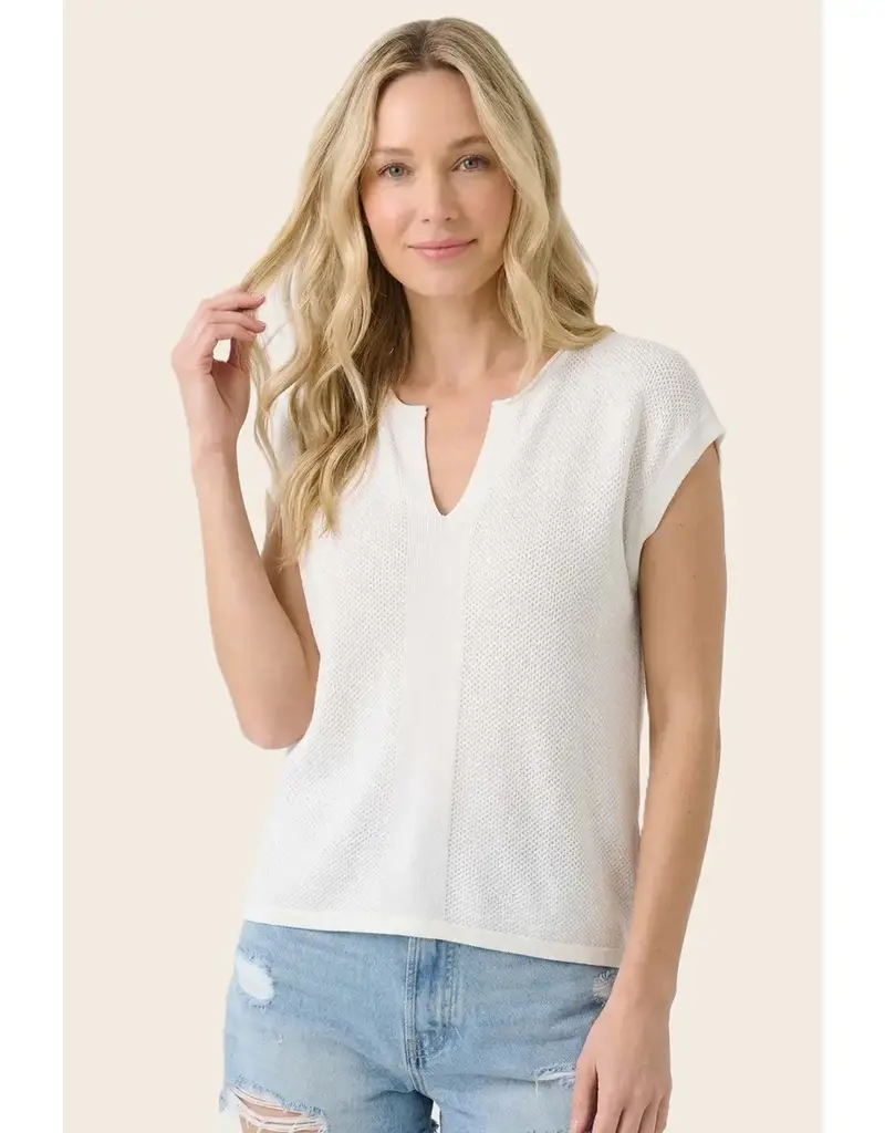 509 Broadway Pointelle Slit Neck SS Sweater