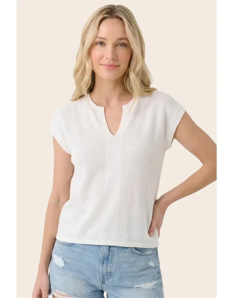 509 Broadway Pointelle Slit Neck SS Sweater