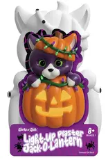 Faire Light Up Jack O lantern Paint Kit
