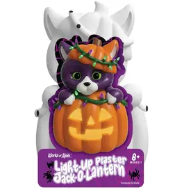 Faire Light Up Jack O lantern Paint Kit