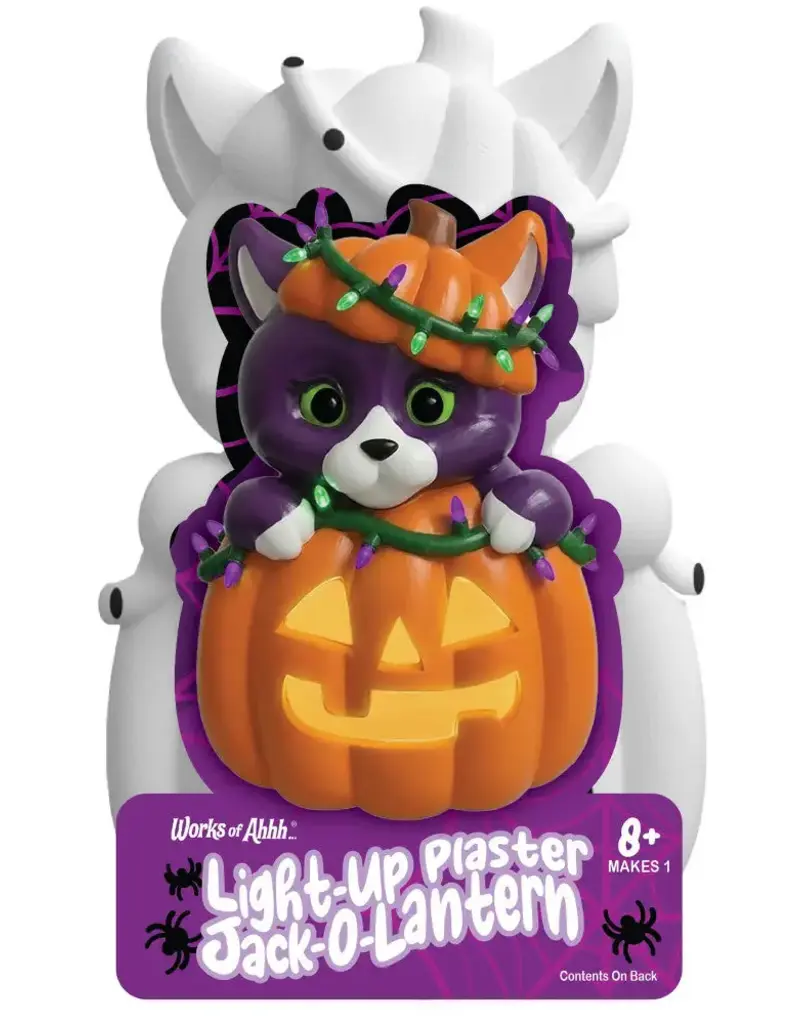 Faire Light Up Jack O lantern Paint Kit