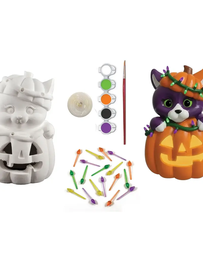 Faire Light Up Jack O lantern Paint Kit