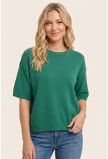 Staccato Elbow Sleeve Solid Sweater