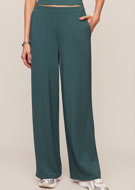 Z Supply In Transit Modal Pant