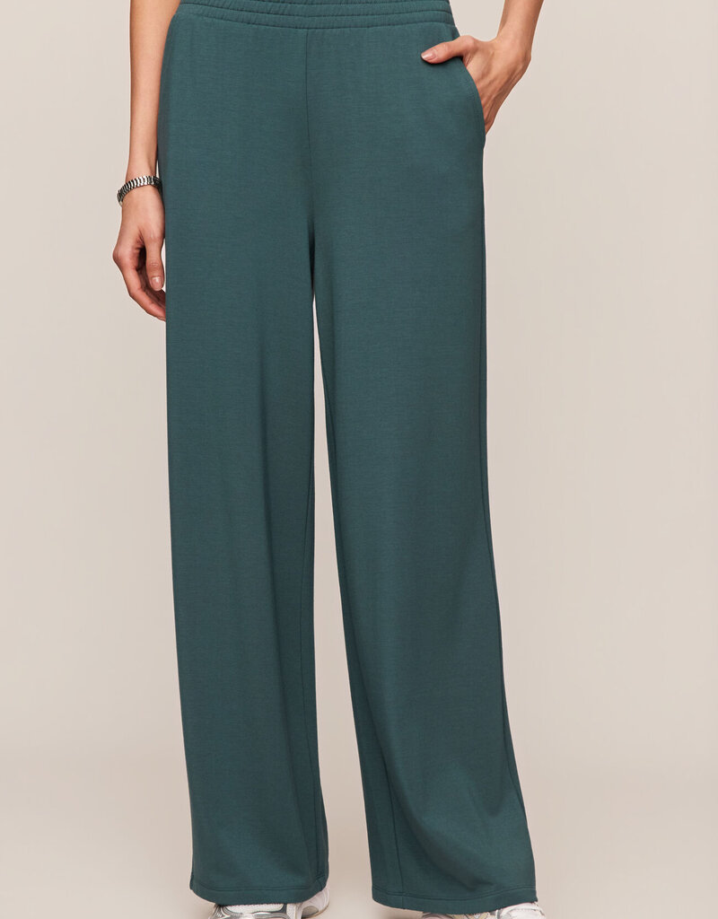 Z Supply In Transit Modal Pant