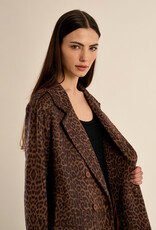 Molly Bracken Georgia Knit Coat