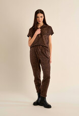 Molly Bracken Jackie Knit Pants