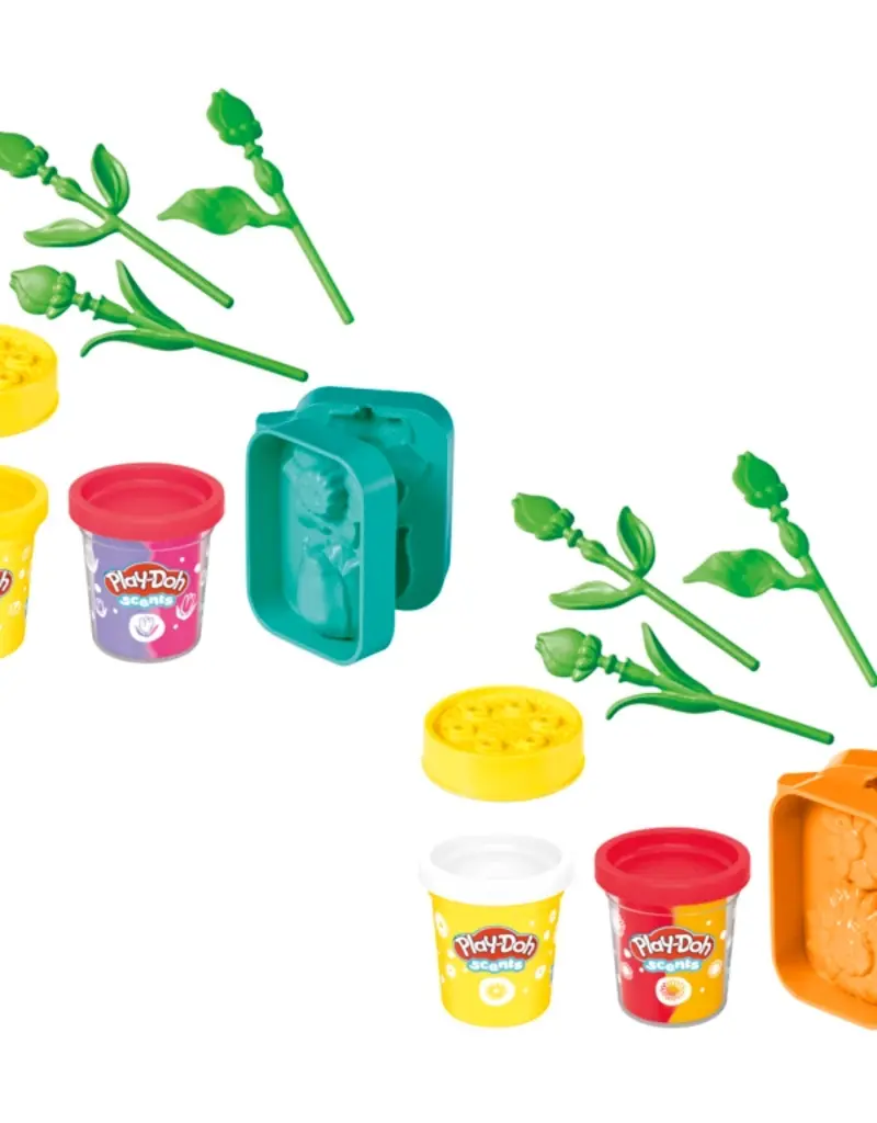 509 Broadway Play-Doh Lil Flowers