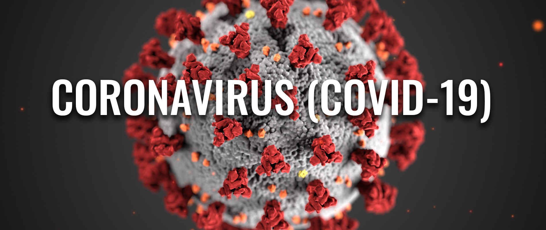 Coronavirus and rugs
