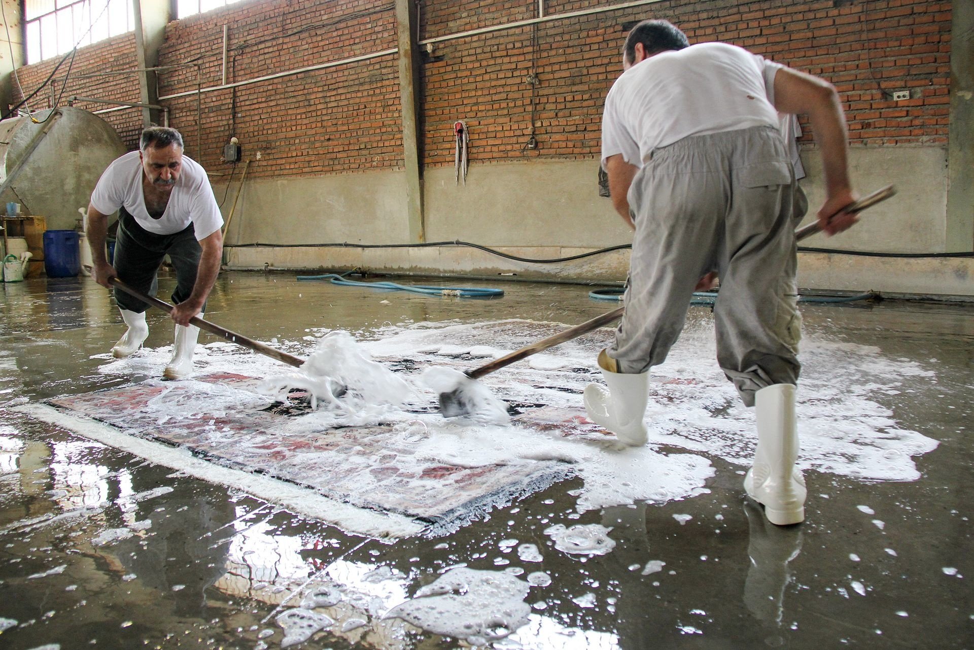 Rug Cleaning