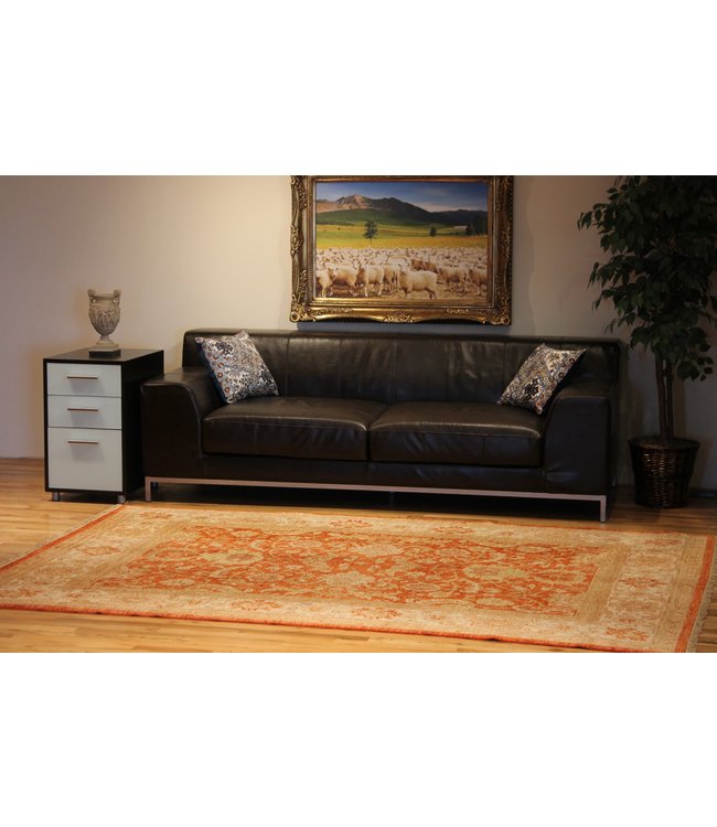 Agra 19-00245 Agra 6'5 X 9