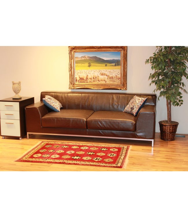 Shiraz 19-00153 Shiraz 3'3 X 5'5