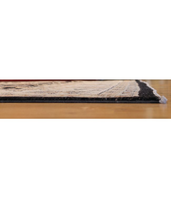 Agra 19-00354 Agra 8'10 X 12'3