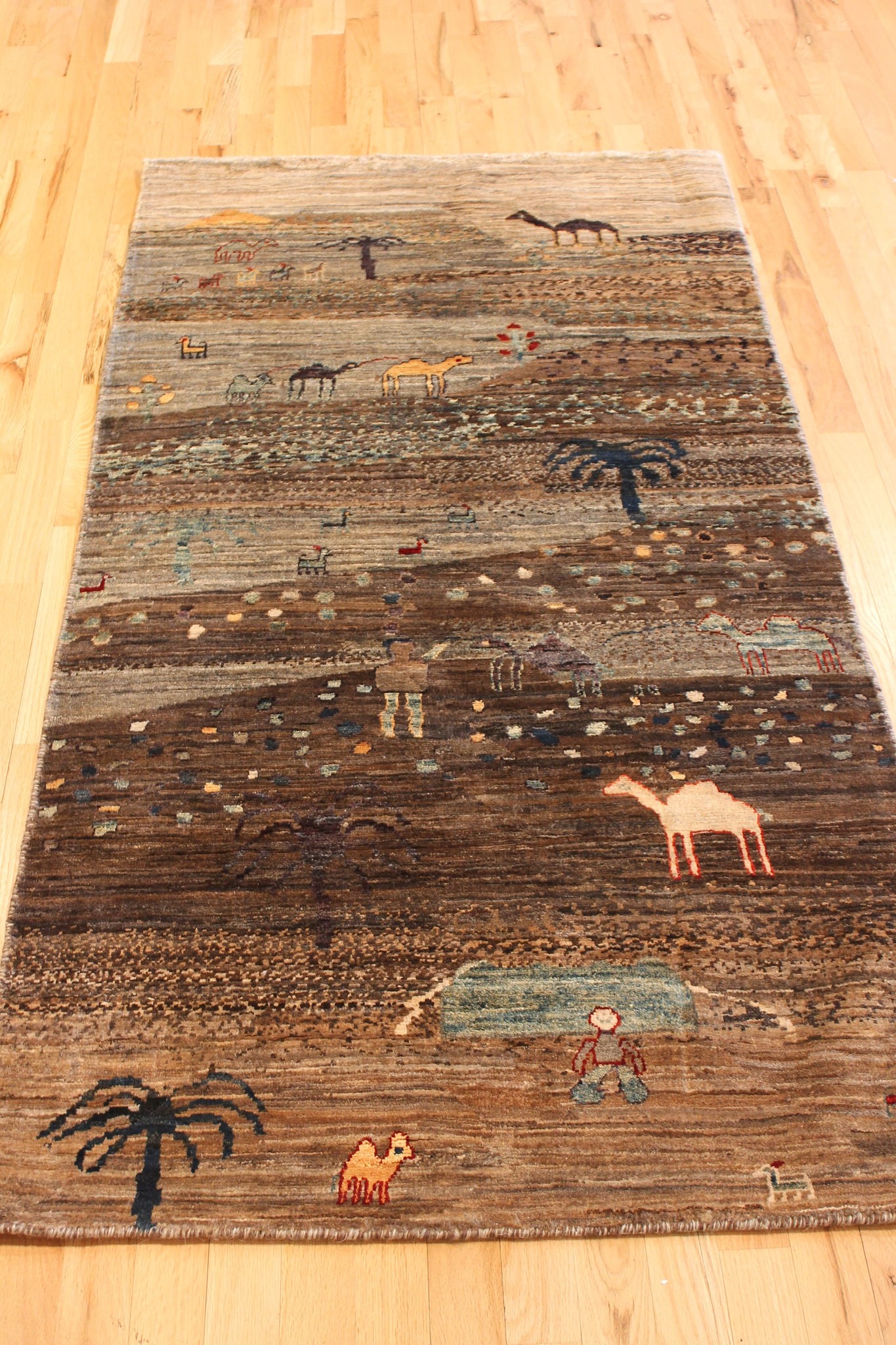 Shabahang Rugs Waukesha Hand Knotted Fine All Wool Gabeh Rug 2'8 X 5'7