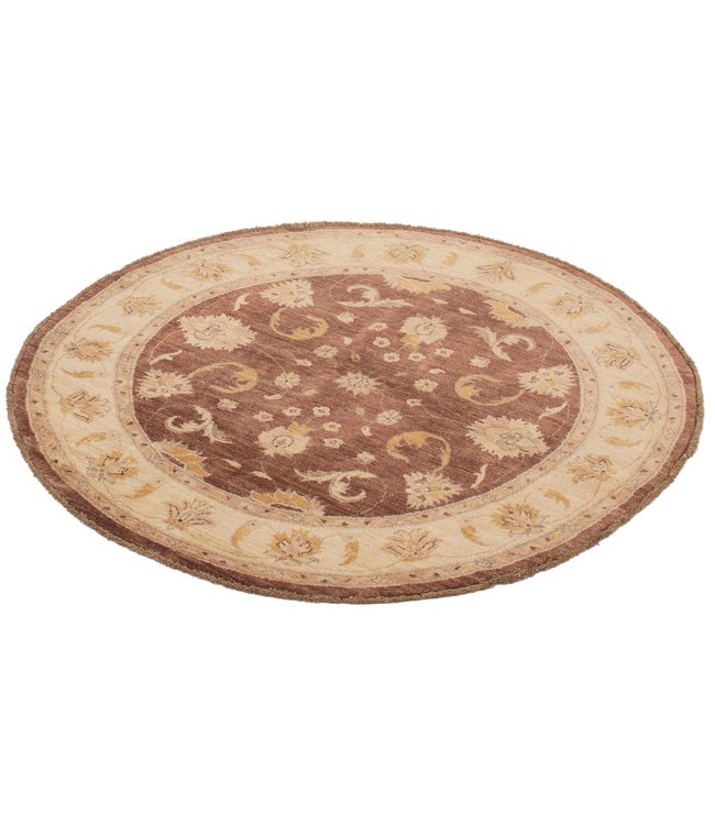 Ooshak 22-01129 Ooshak 5'1 X 5'3