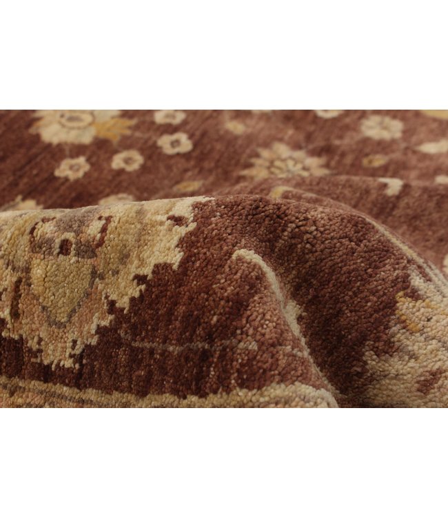 Ooshak 22-01129 Ooshak 5'1 X 5'3