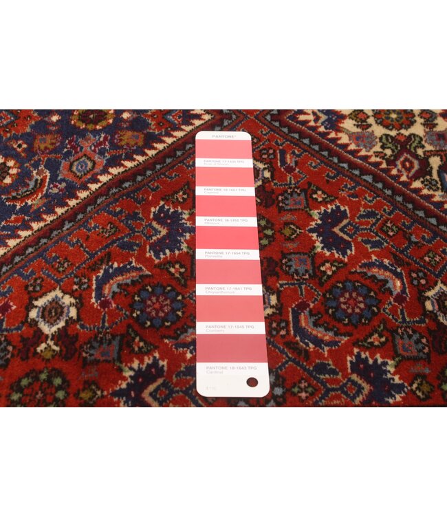 Bijar 25-01652 Bijar 2'9 X 9'8