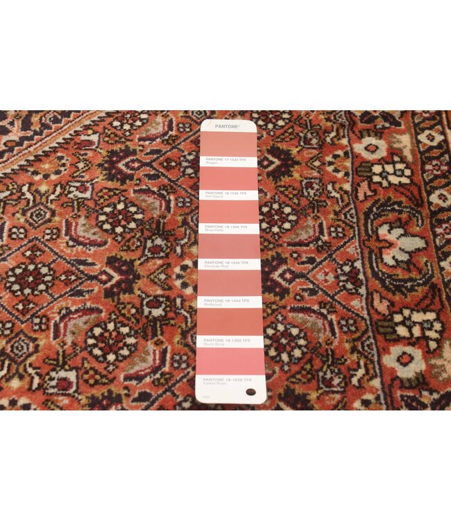 Bijar 25-01651 Bijar 8'6 X 11'4