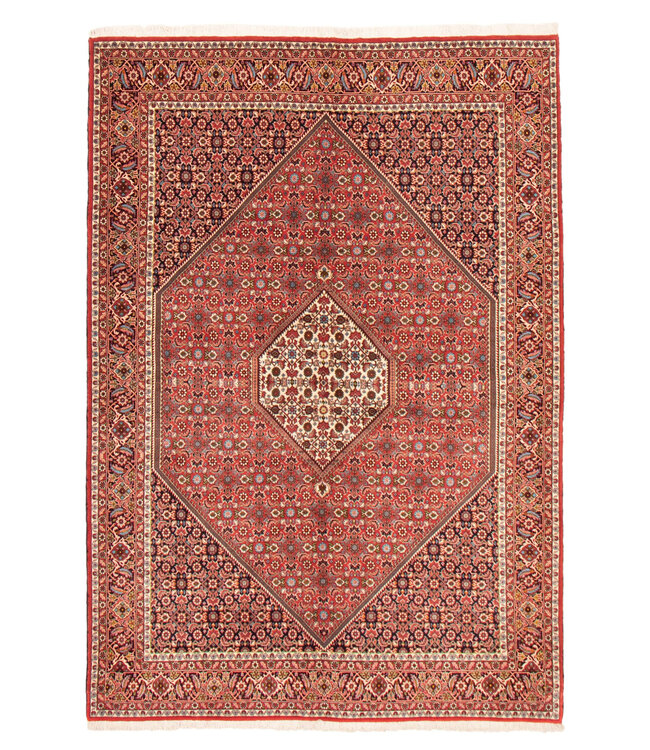 Bijar 25-01649 Bijar 6'7 X 9'7