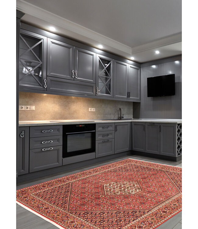 Bijar 25-01649 Bijar 6'7 X 9'7