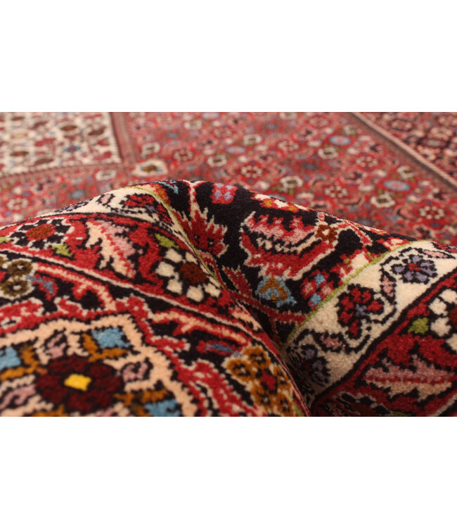 Bijar 25-01649 Bijar 6'7 X 9'7