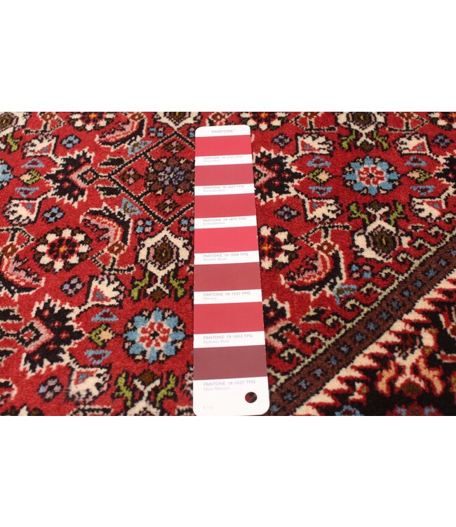 Bijar 25-01649 Bijar 6'7 X 9'7