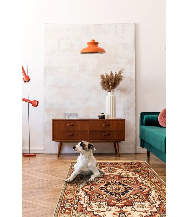 Serapi 26-01931 Serapi 4' X 6'