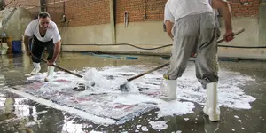 Seasonal Rug Cleaning in Waukesha: Keep Your Rugs Beautiful Year-Round