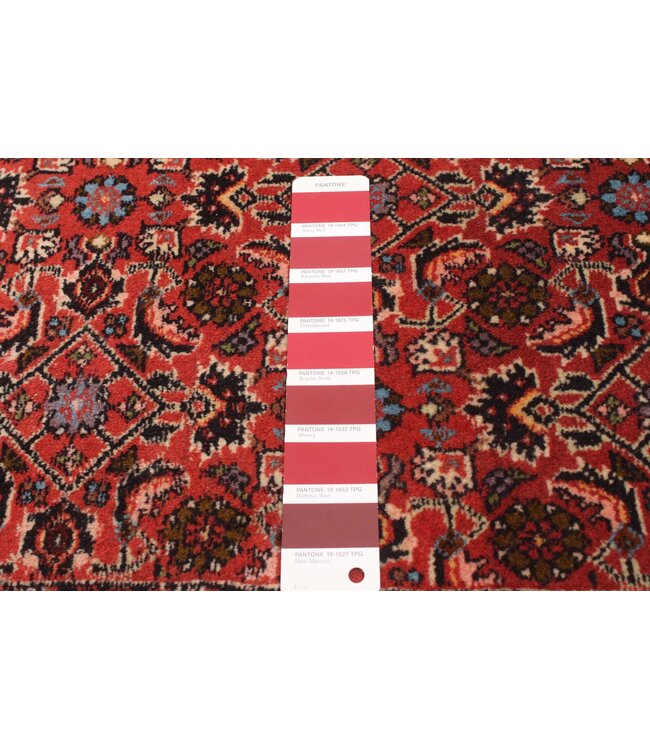 Bijar 26-01958 Bijar 6'8 X 9'6