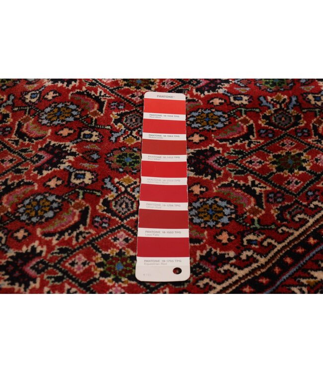 Bijar 26-01961 Bijar 9'7 X 12'8