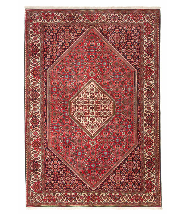 Bijar 26-01962 Bijar 4'9 X 7'1