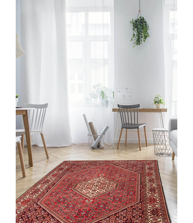 Bijar 26-01962 Bijar 4'9 X 7'1