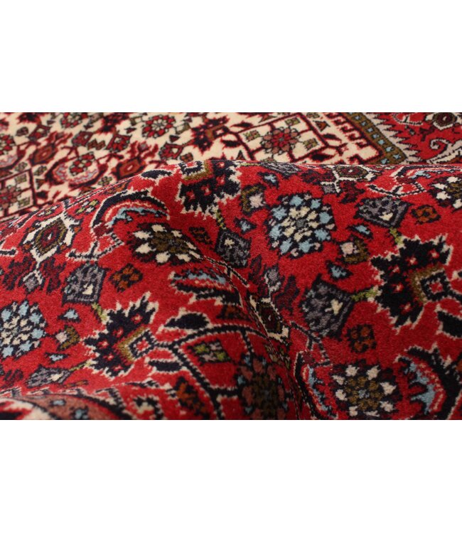 Bijar 26-01962 Bijar 4'9 X 7'1