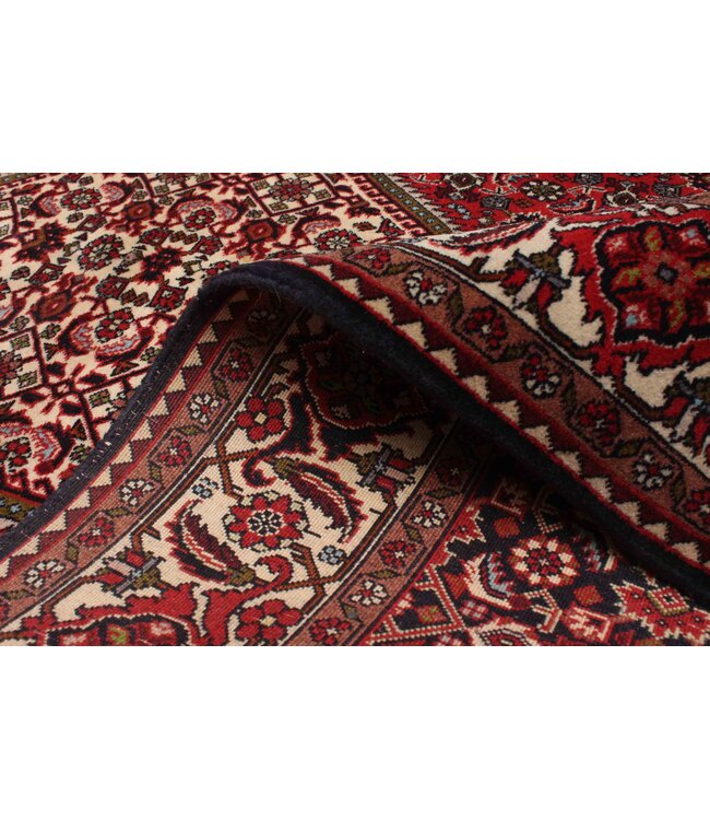 Bijar 26-01962 Bijar 4'9 X 7'1