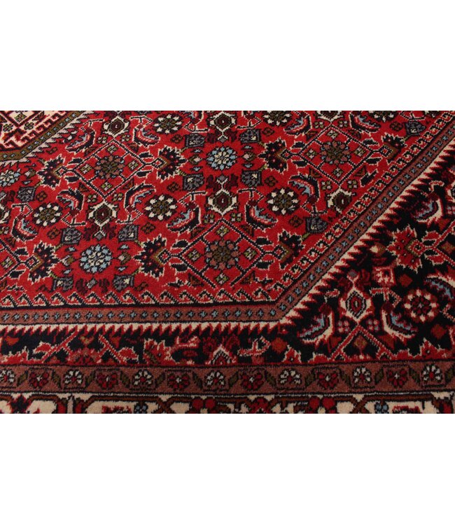 Bijar 26-01962 Bijar 4'9 X 7'1