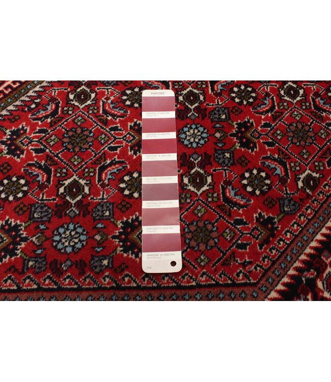 Bijar 26-01962 Bijar 4'9 X 7'1