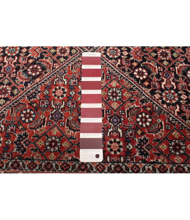 Bijar 26-01963 Bijar 2'6 X 10'2