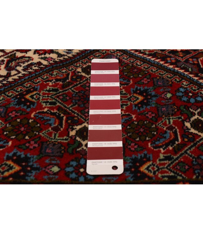 Bijar 26-01964 Bijar 2'9 X 9'2