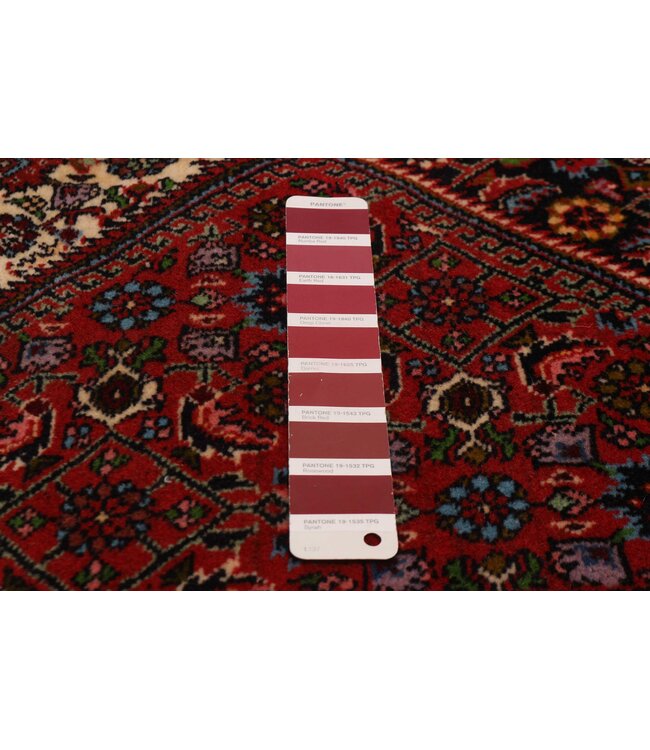 Bijar 26-01965 Bijar 2'9 X 9'8