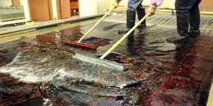 What Should You Do After a Pet Accident on a Persian or Oriental Rug?