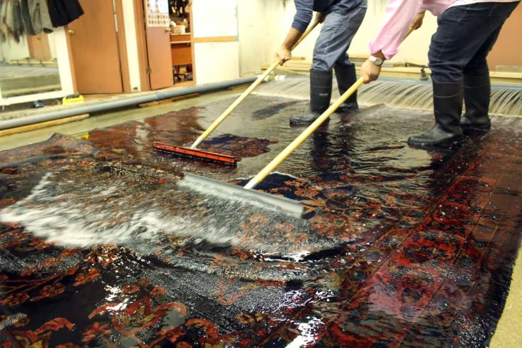 What Should You Do After a Pet Accident on a Persian or Oriental Rug?