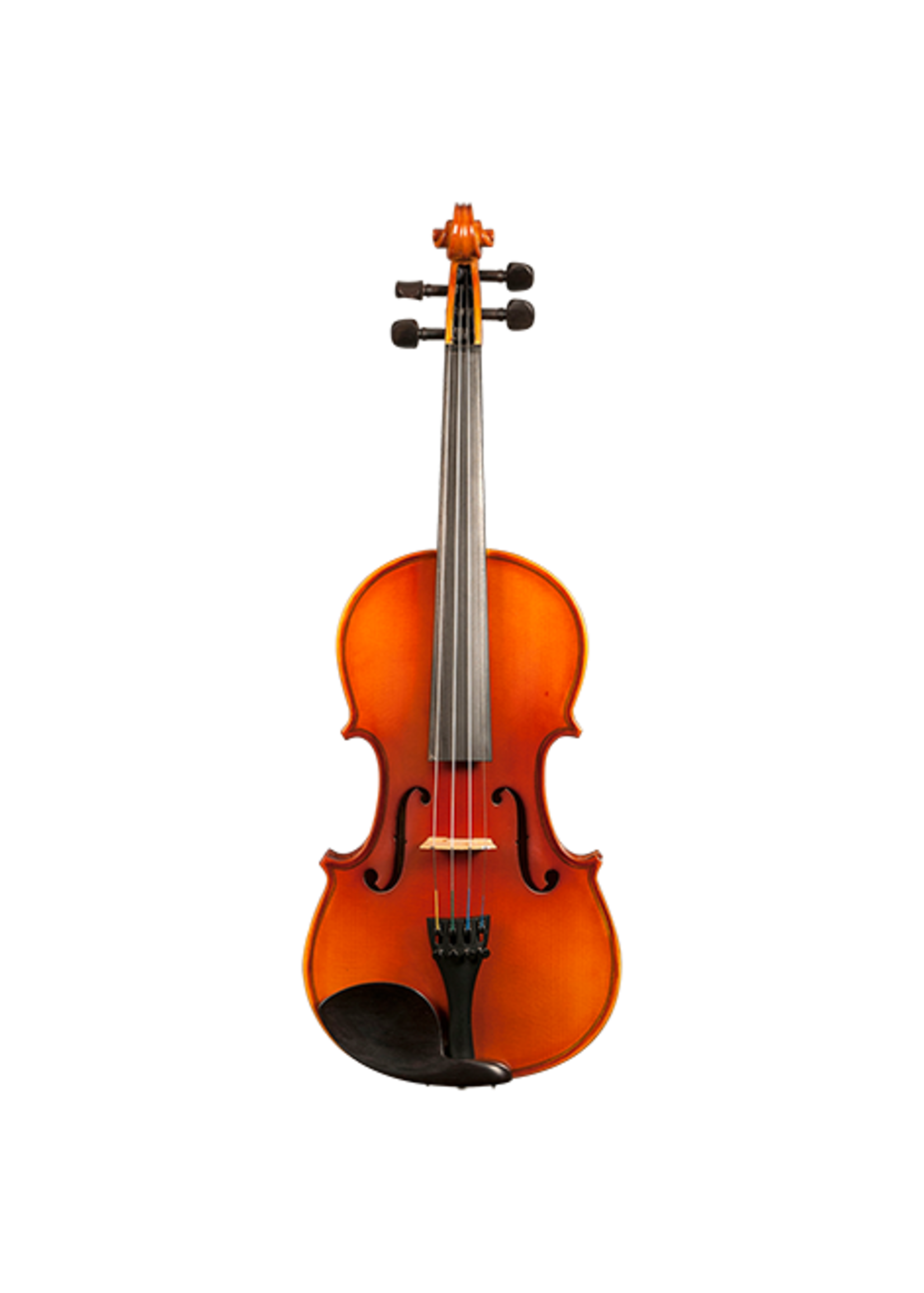 Gatchell Ametto CV150 4/4 Violin Outfit