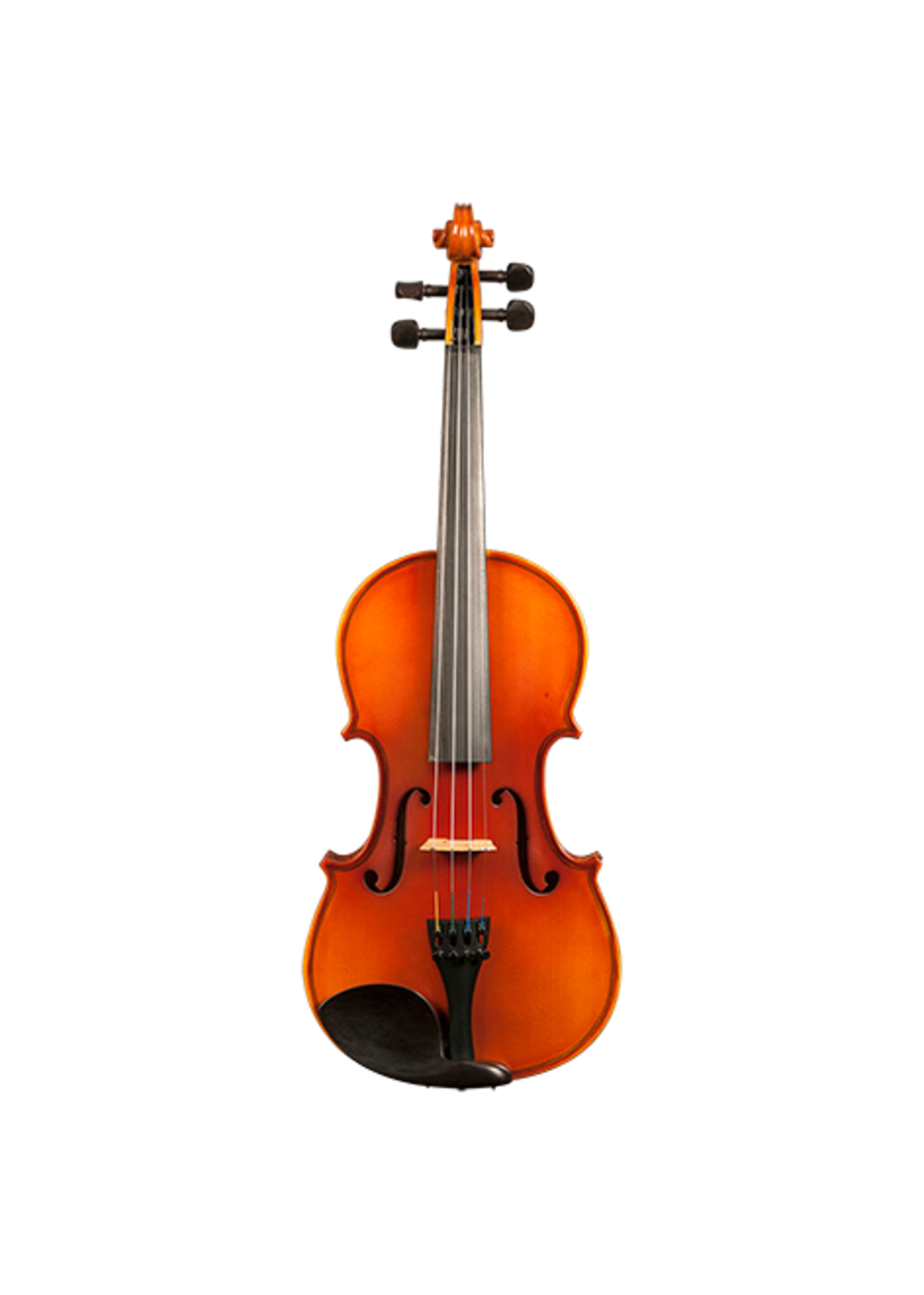 Gatchell Ametto CV150 Violin Outfit 1/2